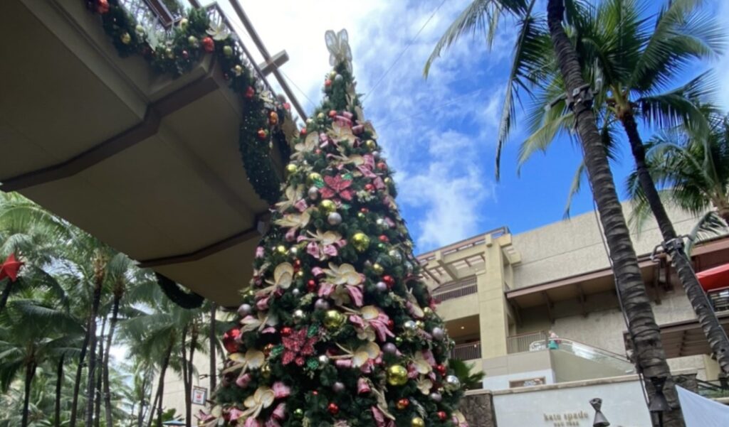 ハワイのクリスマス12月