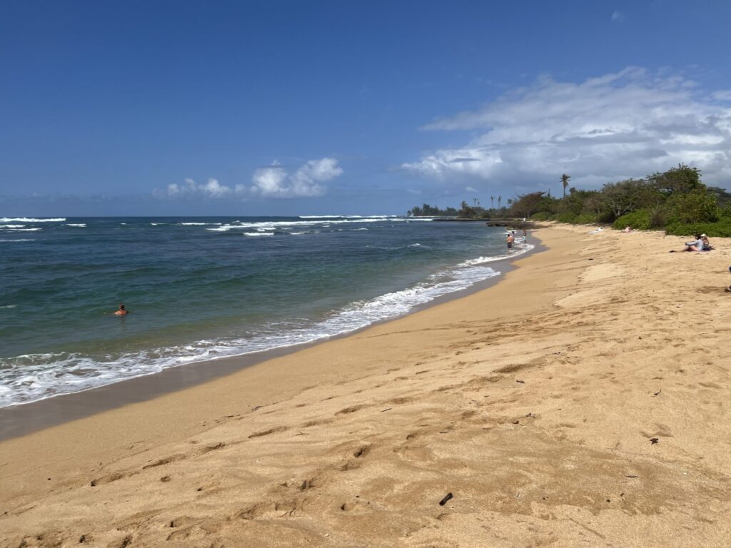 ハワイの海(ハレイワ・アリイ・ビーチ・パーク)